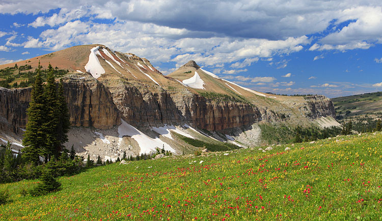 White River National Forest - Chinese Wall #1803