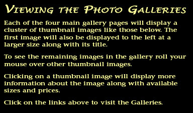 How to view the photo galleries.