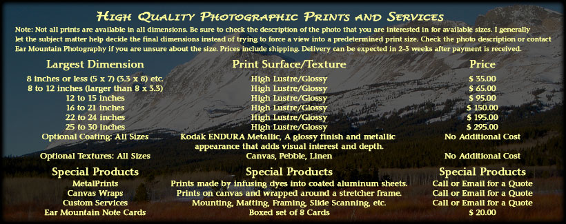 Description of Fine Art Prints