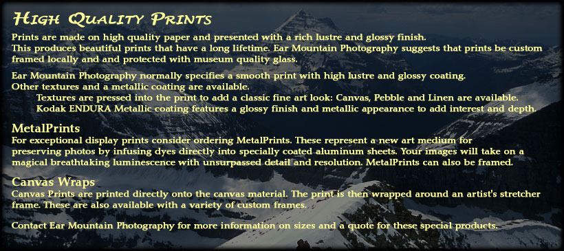 Description of fine Art Prints
